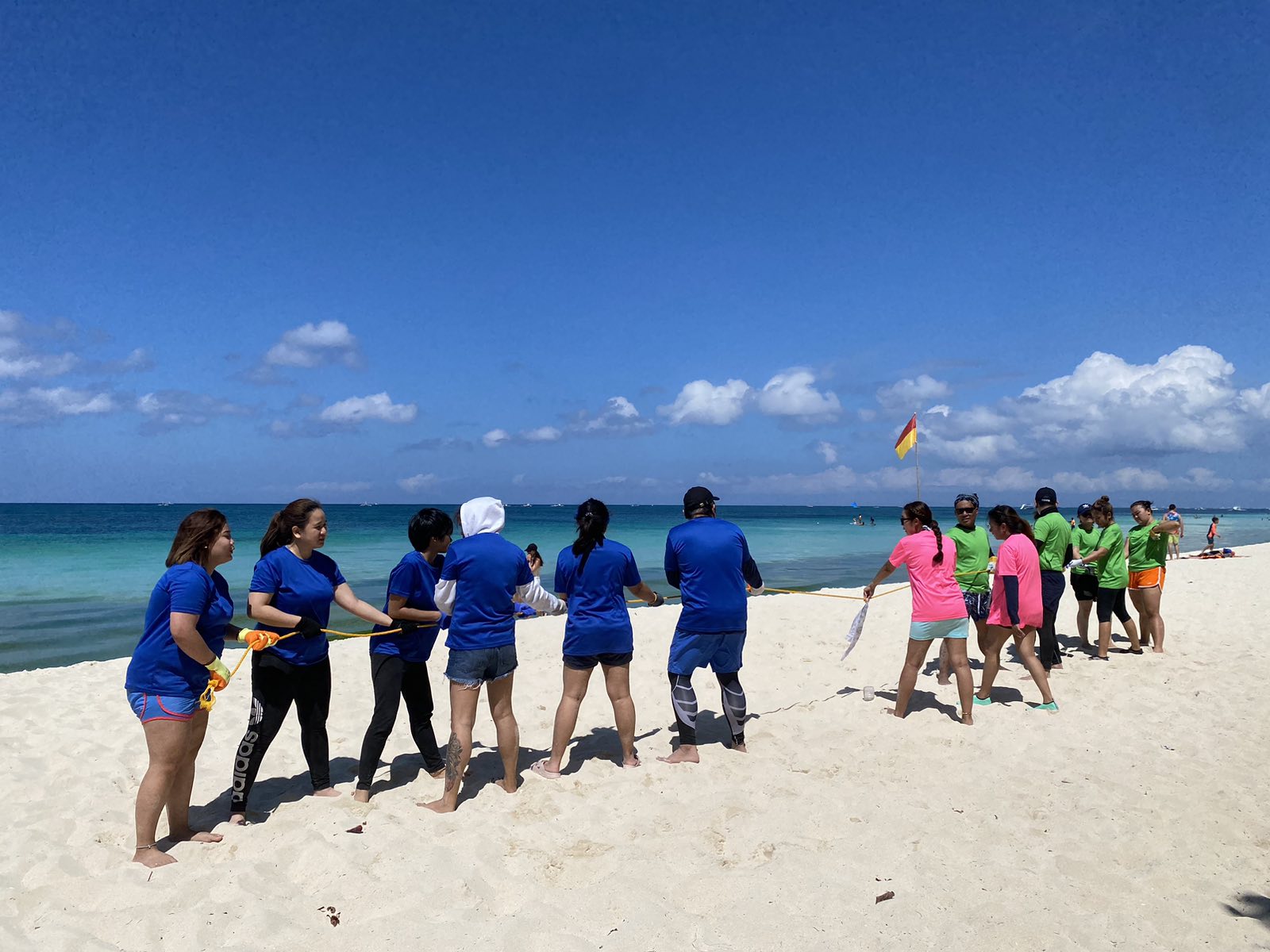 Activity 4